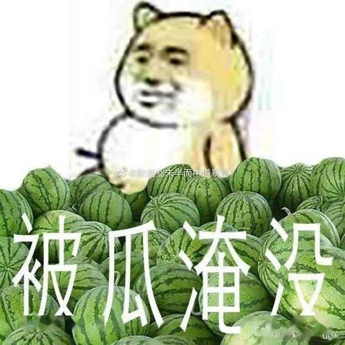 吃瓜黑料正能量爆料群